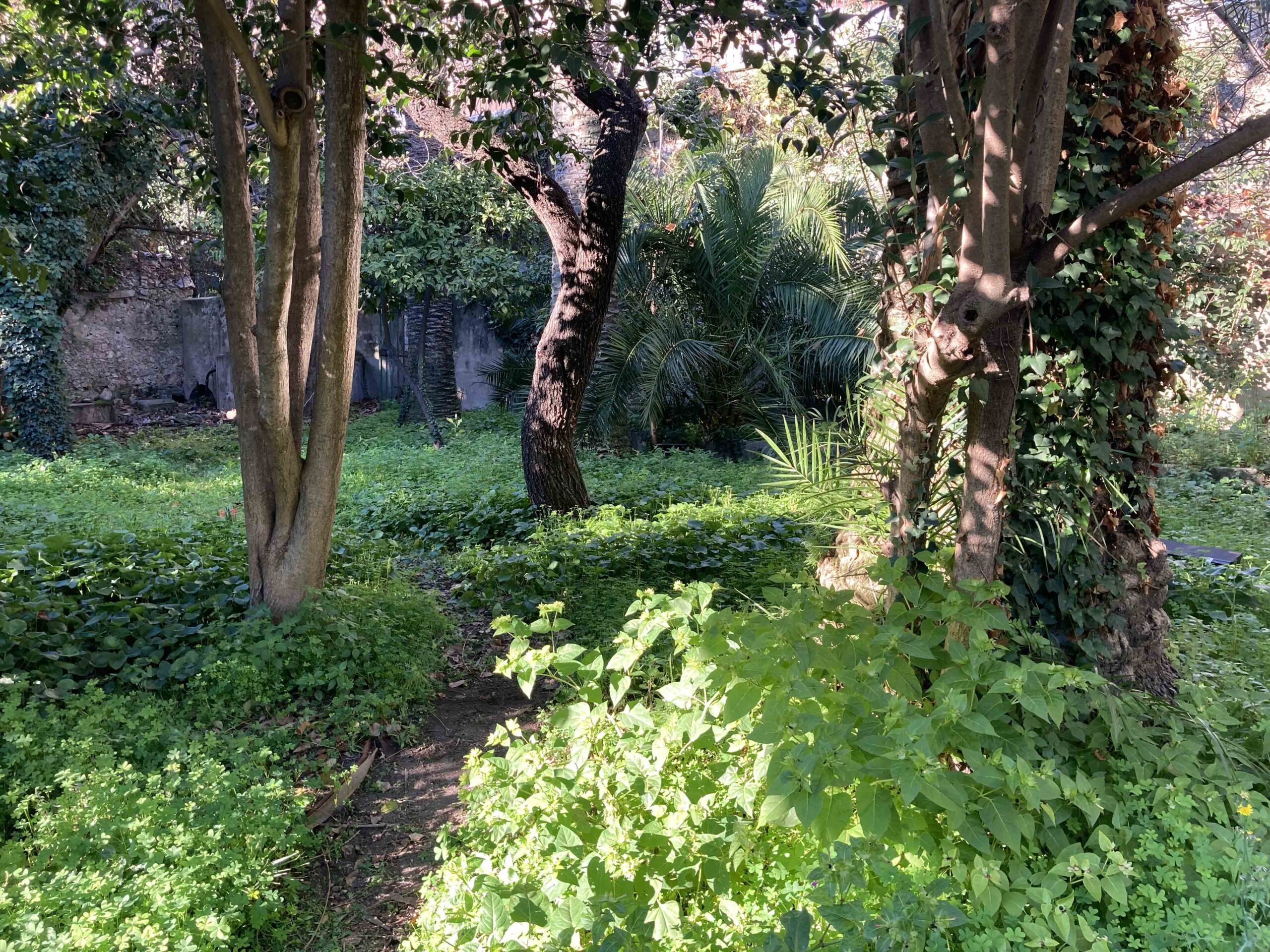 Emplacement avant travaux du Musée Bonnard Le cannet, desserte via la place Bellevue