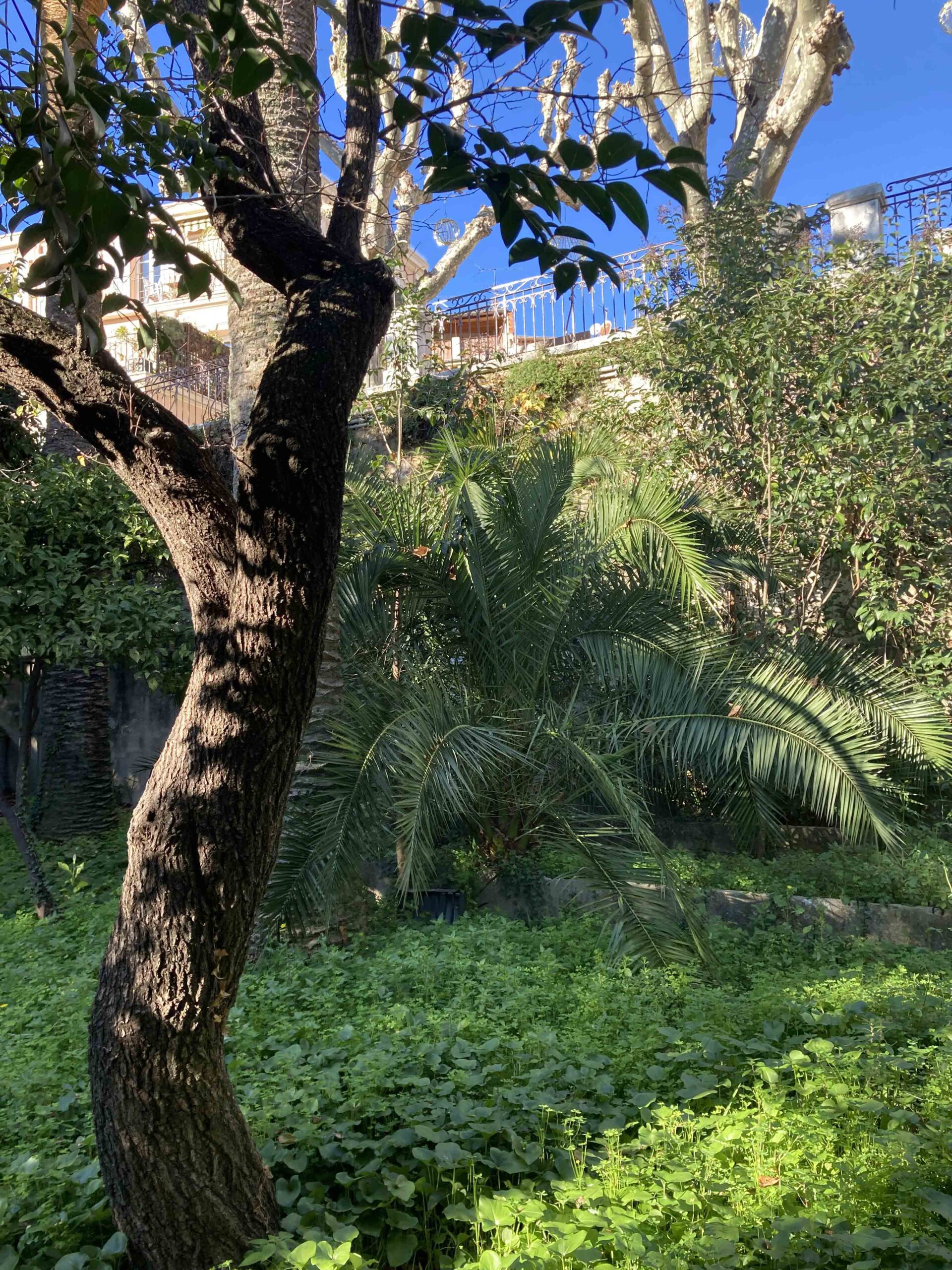 Emplacement avant travaux du Musée Bonnard Le cannet, desserte via la place Bellevue